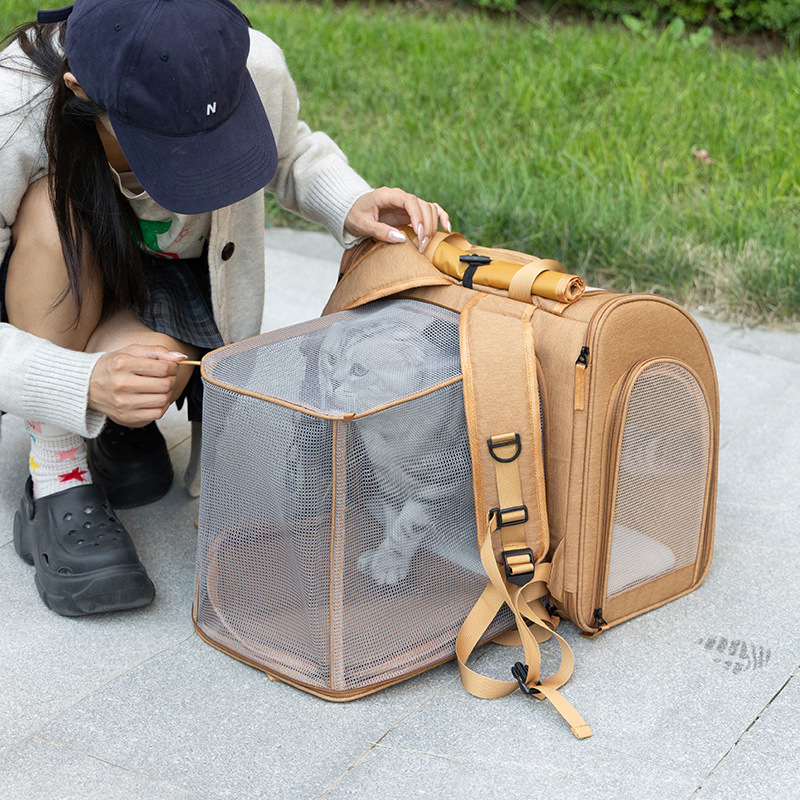 Portable cat bag, expandable l – Foldable Backpack Small recenzja i cena