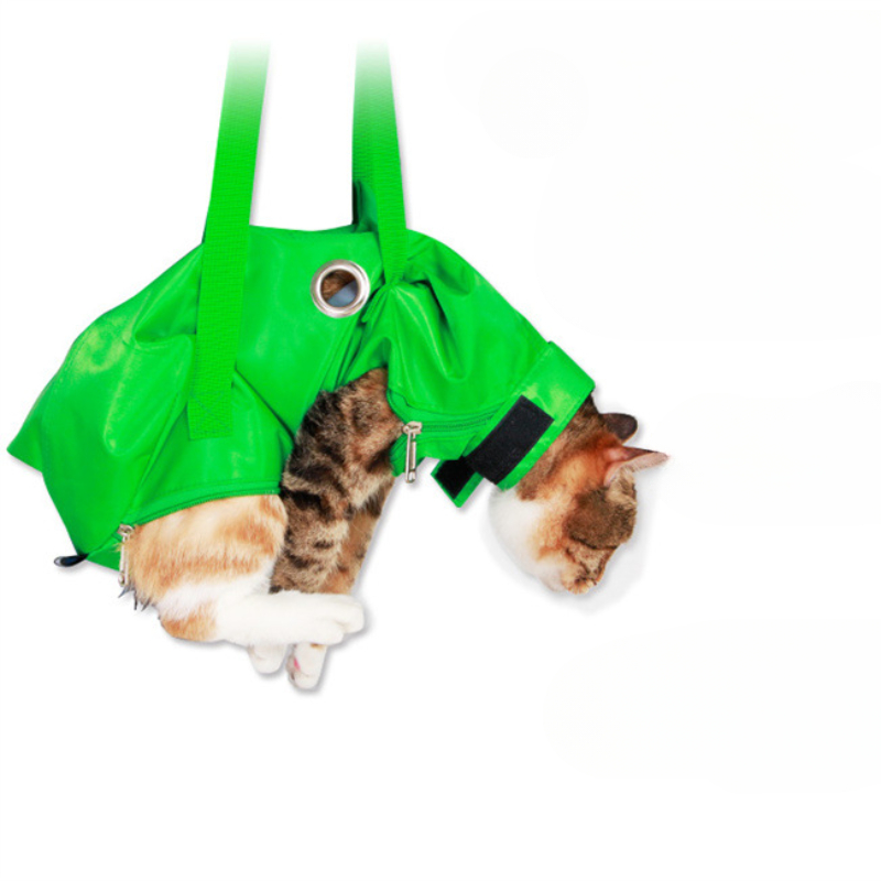 Portable Cat Backpack Pet Summ – Foldable Backpack Small recenzja i cena